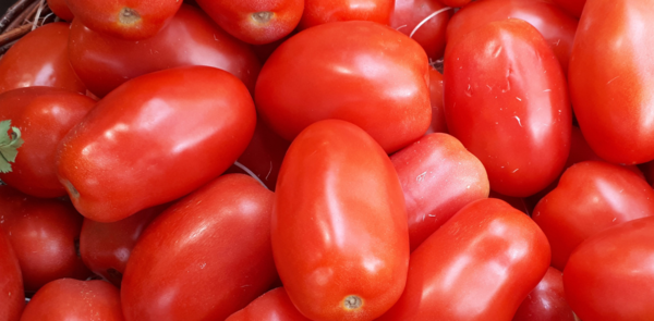El tomate alcanza precio r茅cord en Paraguay debido al contrabando y la baja oferta - Revista PLUS