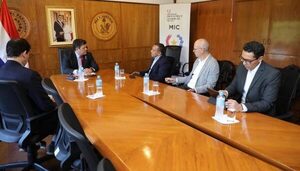 Blue Tower Ventures Paraguay explora para invertir USD 40 millones en energía solar en el Chaco - MarketData