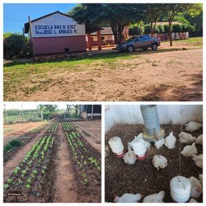 Producción hortícola y avícola florecen en una Escuela Rural de Horqueta