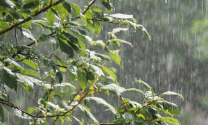 Advierten sobre lluvias y tormentas eléctricas para hoy - OviedoPress