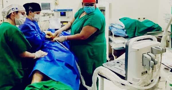 La Nación / Por primera vez realizaron una pericardiocentesis en el Hospital de Pilar