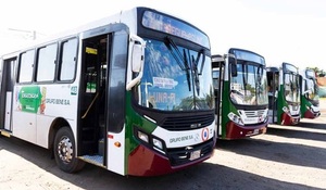25 líneas de buses se unen a huelga de transportistas