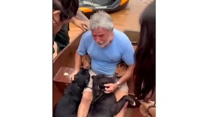 Hombre conmueve al rescatar a sus perros de inundaciones en Brasil