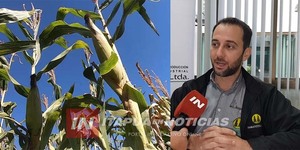 EXCESO DE LLUVIAS REQUERIRÁN MÁS CUIDADOS EN LOS CULTIVOS DE ITAPÚA - Itapúa Noticias