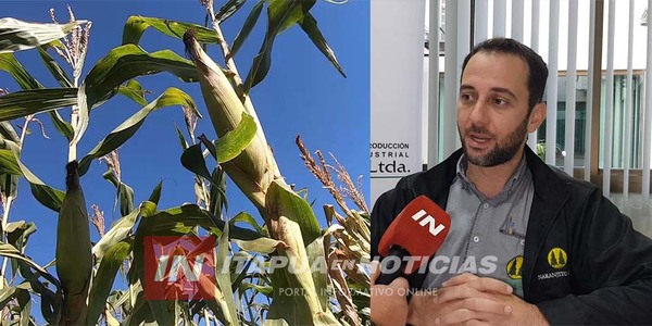 EXCESO DE LLUVIAS REQUERIRÁN MÁS CUIDADOS EN LOS CULTIVOS DE ITAPÚA - Itapúa Noticias