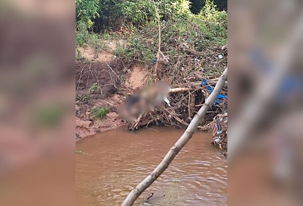 Hallaron cadáver de un hombre a orillas de un arroyo en Capiatá - Megacadena - Diario Digital
