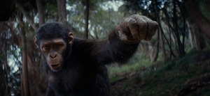 "El Planeta De Los Simios: Nuevo Reino" : estreno promete sorprender, desde mañana en todos los cines - Unicanal