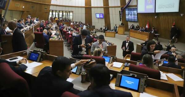 La Nación / Diputados plantean reorientar gastos sociales de binacionales al PGN