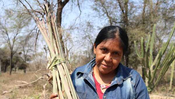 Exhibirán piezas textiles hechas por mujeres ayoreos en Asunción