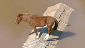 Un caballo quedó atrapado en un techo en medio de las trágicas inundaciones en Brasil