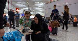 Diario HOY | Perros adiestrados para desestresar a los pasajeros en el aeropuerto