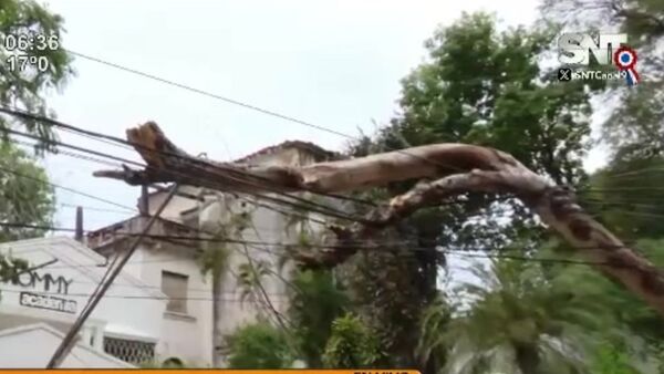 Árbol caído sobre Mariscal López casi Gral Santos - SNT