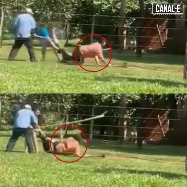 GOLPEARON CON PALO A UN JOVEN CON EPILEPSIA