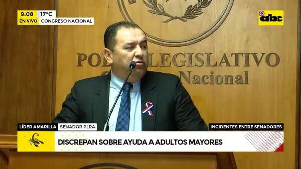 Pensión para adultos mayores: discrepancia sobre presentación de proyecto - ABC Noticias - ABC Color
