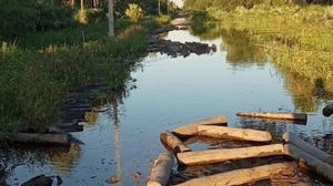 Pueblos indígenas del Chaco paraguayo claman por infraestructura vial segura