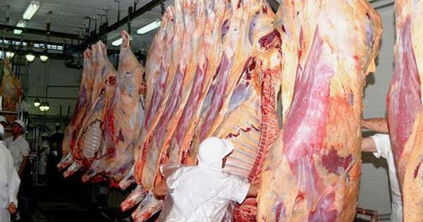 La Nación / Carnes paraguayas conquistan mercados en Asia y Medio Oriente