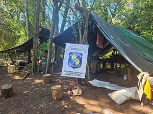 Destruyen 10.000 kg de marihuana halladas en la Reserva San Rafael de Itapúa - Policiales - ABC Color