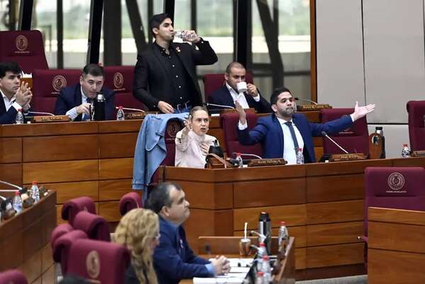 Sancionan “reforma de la Policía” con “tinte stronista” y con admitidos errores - Política - ABC Color