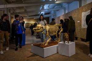 Vuelve la actividad “Los Museos se muestran” - Cultura - ABC Color