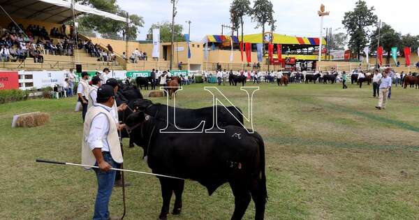 La Nación / Congreso AL Brangus: tratan importancia de apostar en precocidad bovina para mejores ingresos