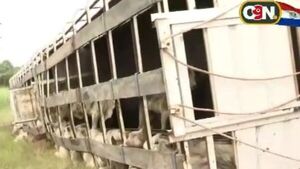 Un camión con animales volcó en la ruta de Concepción/Pozo Colorado - C9N