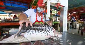 Diario HOY | Video: surubí de 27 kg pescado en Costanera de Asunción