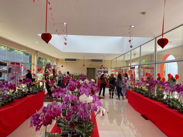 Orquídeas producidas por 200 madres: para miles de madres en su día