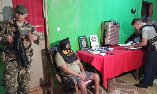 Desmantelan esquema de tráfico de cocaína a través de «mulas» – Diario TNPRESS