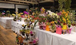 INVITAN A FERIA DE ORQUÍDEAS PARA CELEBRAR EL DÍA DE LA MADRE EN CIUDAD DEL ESTE