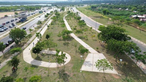 PPL harán trabajo comunitario en ocasión del “PLANTATÓN Paraguay 2024”