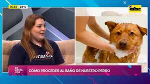 Video: como realizar el baño de nuestro perro en casa  - Ensiestados - ABC Color