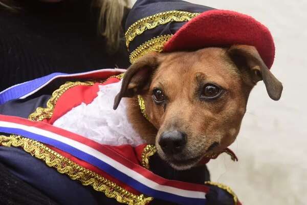 Fiestas Patrias: ¿cómo se recordaban antes y cómo se celebran ahora? - Nacionales - ABC Color