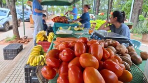 Tomate por las nubes: Productores piden apoyo y créditos para adquirir tecnología