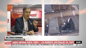 Nueva tarifa de Itaipú: Ex presidente de la ANDE sostiene que Paraguay recibirá US$ 400 millones menos - Megacadena - Diario Digital