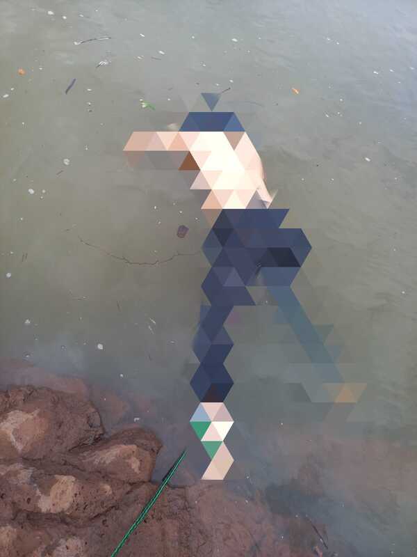 Encuentran un cuerpo sin vida en el río Paraná e investigan si es el de la escribana que desapareció con sus hijos - Megacadena - Diario Digital