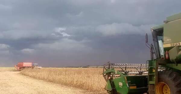 Aumentó exportación de soja, pero cayó 10% las divisas que ingresa - Economía - ABC Color