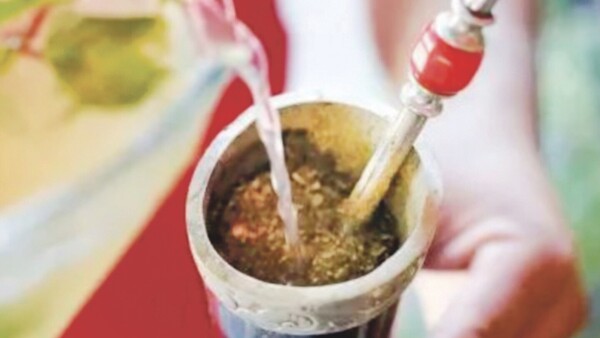 Las diez creencias sobre el uso de la yerba mate