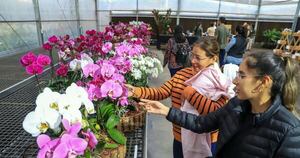 La Nación / Día de la Madre: quinta edición de la Flori Feria sigue este domingo