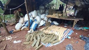 SENAD destruyó más de 500 toneladas de marihuana en el Parque Nacional Caazapá - Megacadena - Diario Digital
