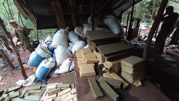 Sacan de circulación casi 500 toneladas de marihuana de un Parque Nacional