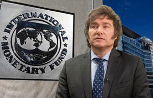 FMI da visto bueno a políticas económicas de Milei, aprueba revisión y Argentina espera nuevos fondos - Megacadena - Diario Digital