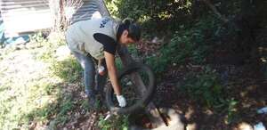 Descenso de temperatura favorece el combate del aedes aegypti, dicen - Nacionales - ABC Color