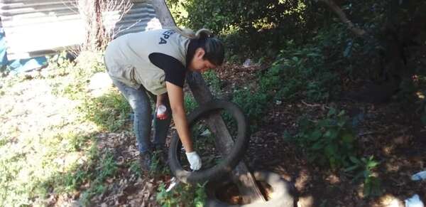 Descenso de temperatura favorece el combate del aedes aegypti, dicen - Nacionales - ABC Color