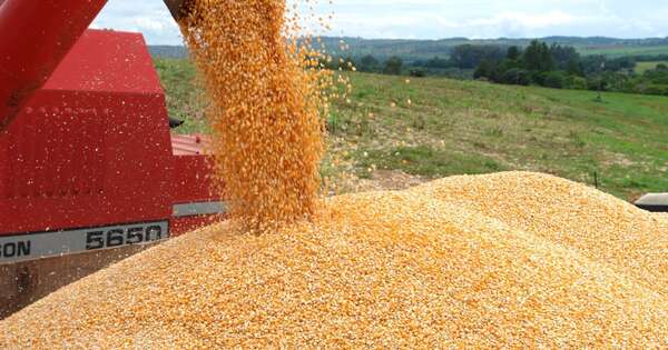 La Nación / Destacan a Paraguay como referente mundial en producción de alimentos
