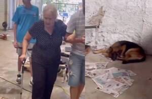 [VIDEO] Perrito se reencuentra con su dueña luego de ser rescatado por las inundaciones