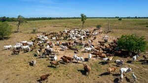 Paraguay expande su mercado internacional de carne con el desembarco a Canadá