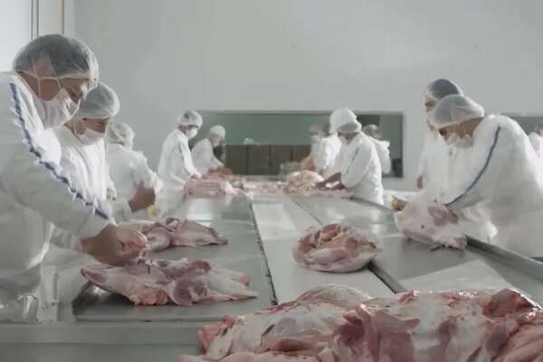Sector de la carne resalta necesidad de apertura de nuevos mercados - Economía - ABC Color