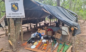 Incineran marihuana en etapa de cosecha tras allanamiento