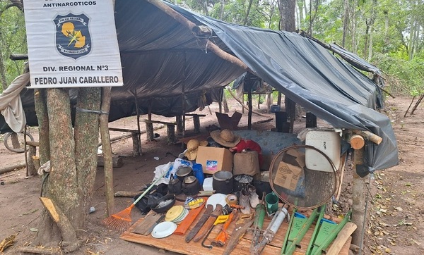 Incineran marihuana en etapa de cosecha tras allanamiento