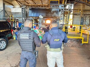 Incineran más de 16 toneladas de drogas incautadas en Foz de Yguazú - La Clave